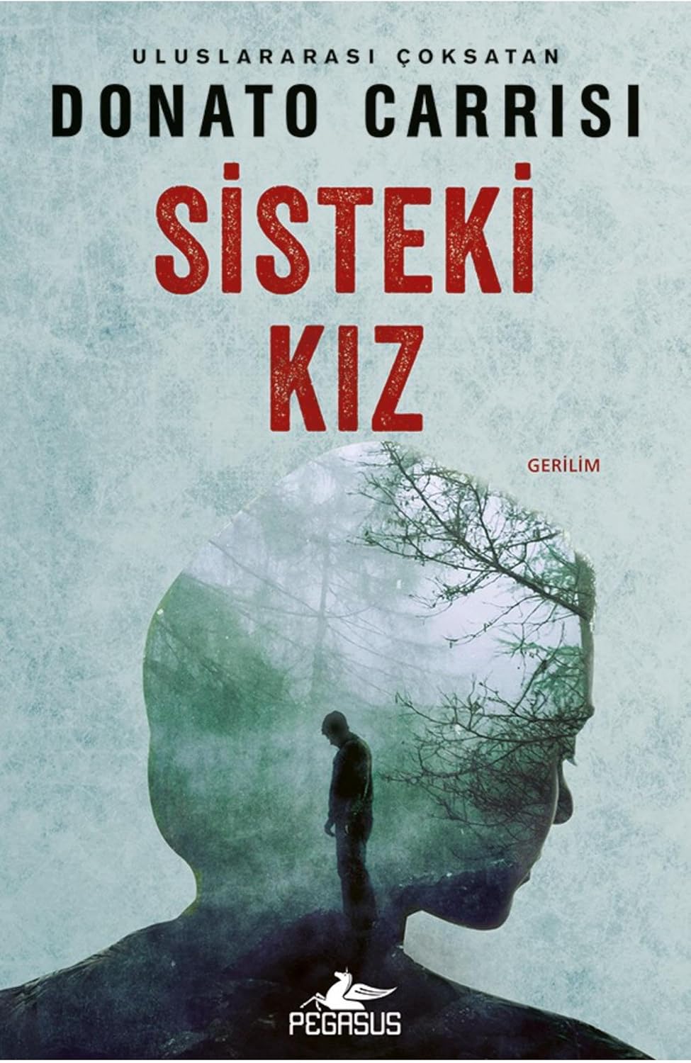 Sisteki Kız